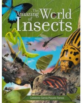 Amazing world of insects