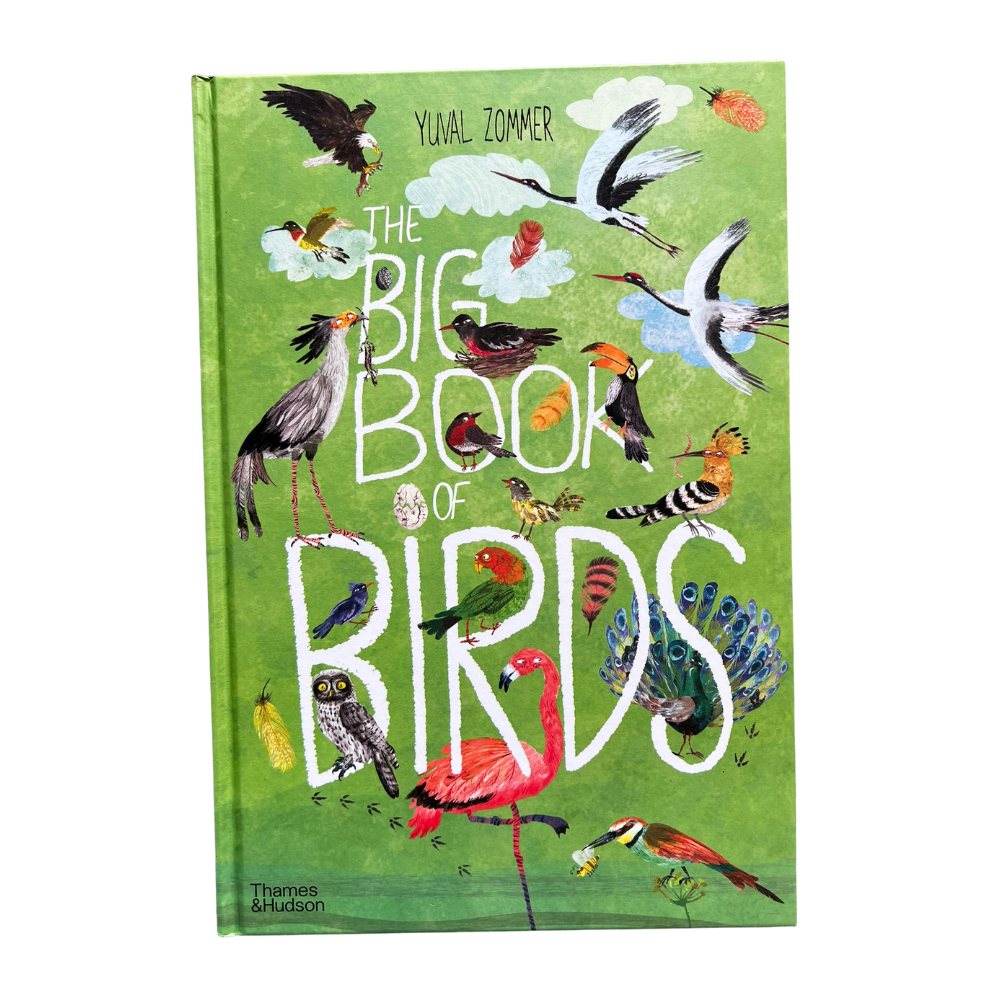 The Big Book of Birds